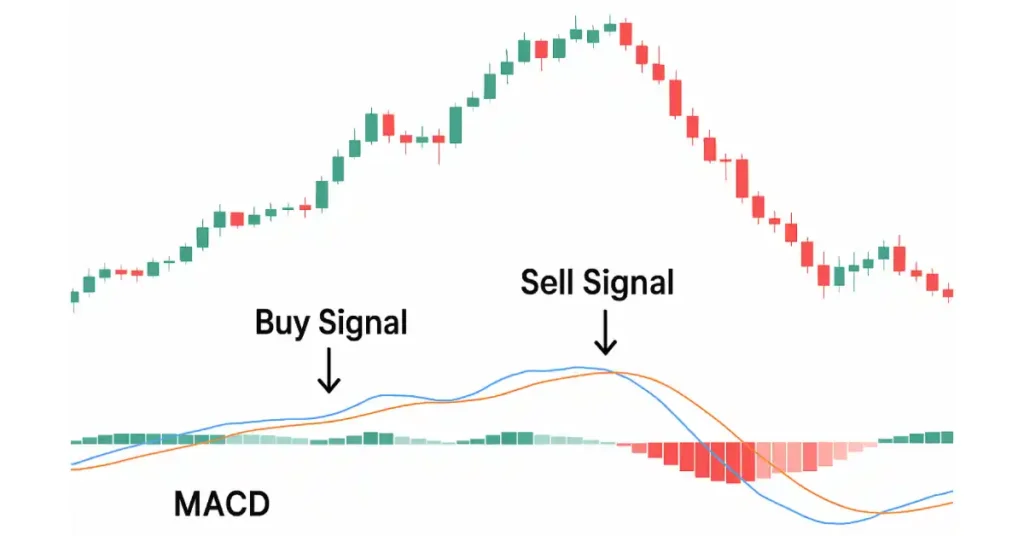 MACD Buy-Sell Signal